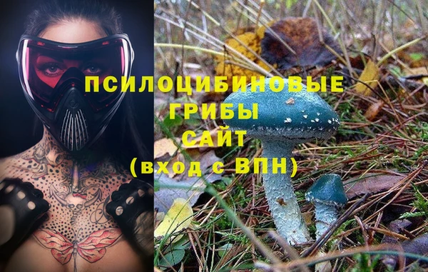дурь Нефтегорск