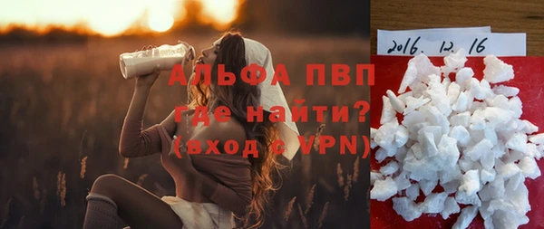 apvp Болотное