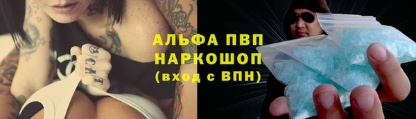 стаф Болхов