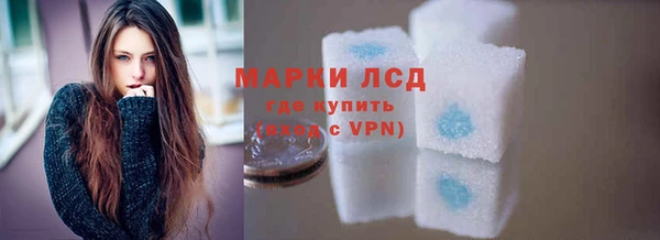 apvp Болотное