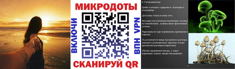 Псилоцибиновые грибы Psilocybe  Переславль-Залесский 
