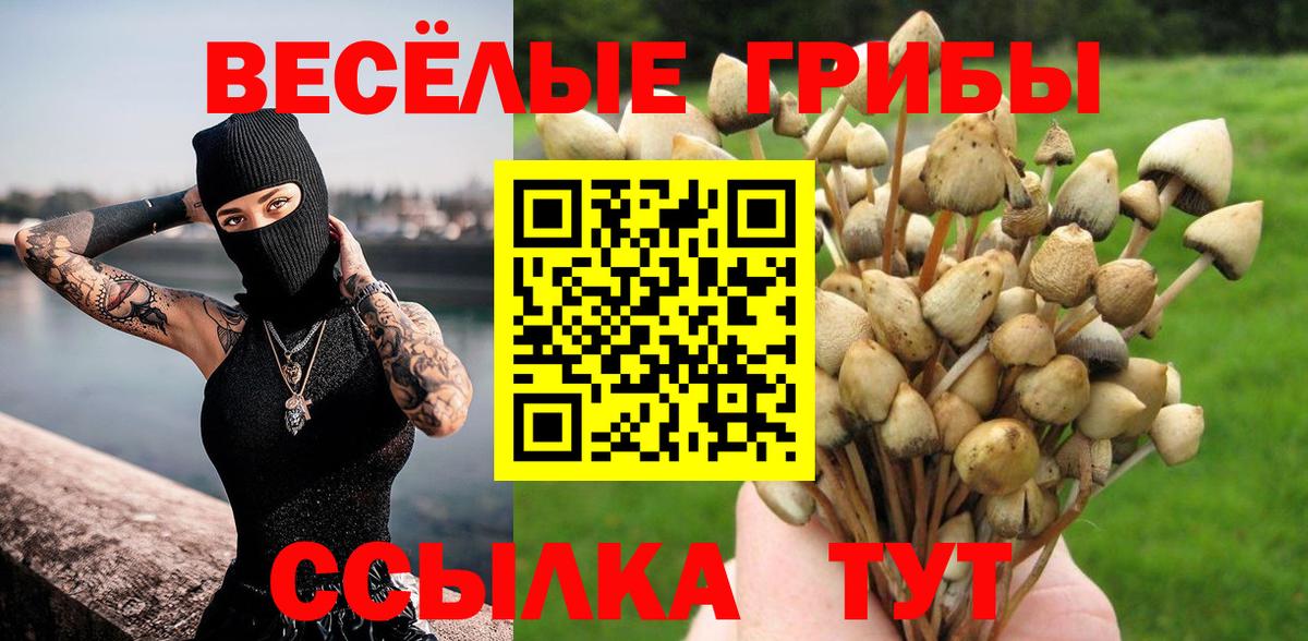 Псилоцибиновые грибы прущие грибы Переславль-Залесский