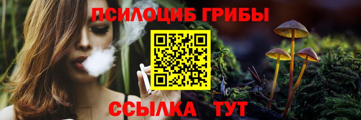 Псилоцибиновые грибы Magic Shrooms  Вход с VPN  цены наркотик  Переславль-Залесский 