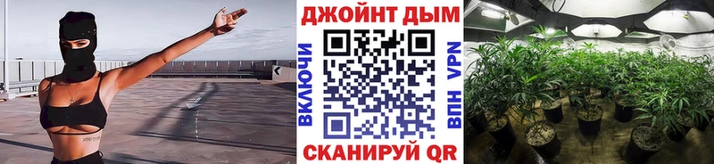 Каннабис тримм  кракен сайт  Переславль-Залесский  хочу  